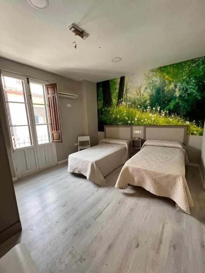Hostal Viena Plaza Nueva Гранада Экстерьер фото